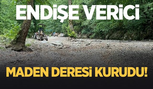 Endişe verici gelişme; Maden Deresi kurudu!