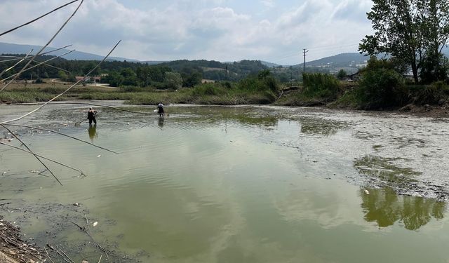 Gölette can çekişen onlarca balık kurtarıldı