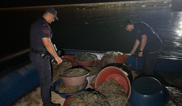 Kaçak kalkan avcılığına operasyon