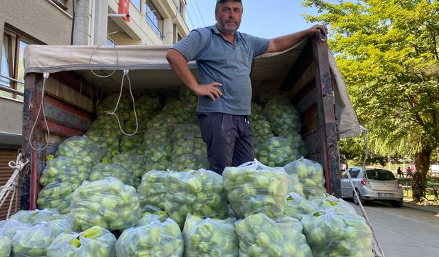 5 ton dolma biberi ücretsiz dağıttı