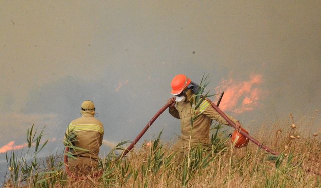 Yangınların yüzde 57’si orman dışı alanlarda başladı
