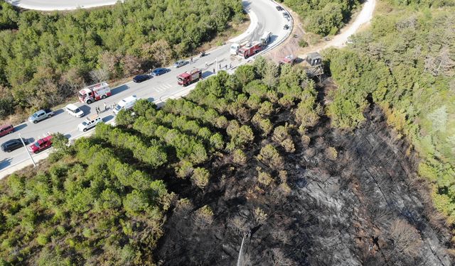 Umuttepe'de orman yangını