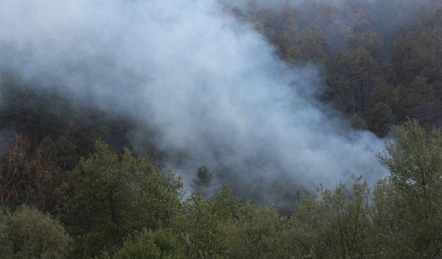 Orman yangını havadan görüntülendi