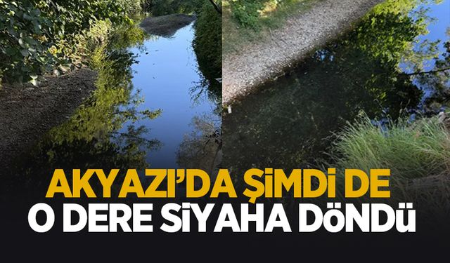 Akyazı'da yeni çevre katliamı; O dere siyaha döndü!