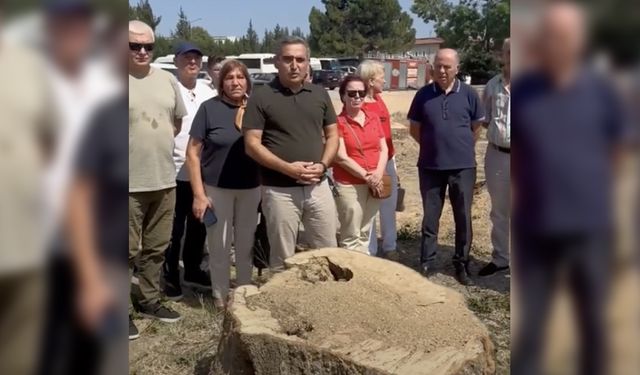 CHP'den Hendek'teki ağaç katliamına tepki