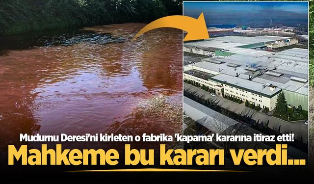 Mudurnu Deresi'ni kirleten o fabrika 'kapama' kararına itiraz etti! Mahkeme bu kararı verdi...