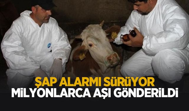 Şap Enstitüsü, 12 milyon 450 bin doz aşıyı sahaya sevk etti