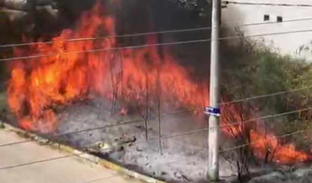 Evlerin bitişiğinde çıkan yangın korkuttu