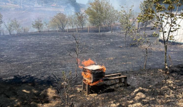 Kandıra'da yangın