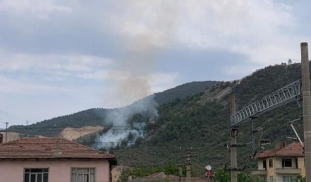 Komşuda orman yangını korkuttu