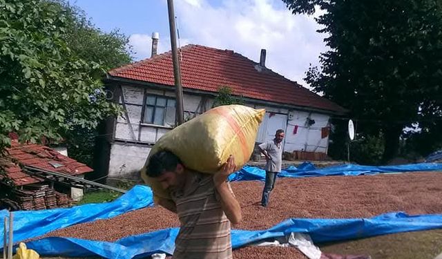 Kocaali Görele’de 10 gündür su sıkıntısı