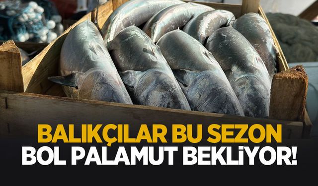Karadeniz'de bol palamut bekleniyor
