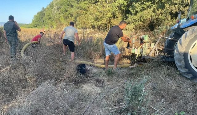 Merada çıkan yangın ormana sıçramadan söndürüldü