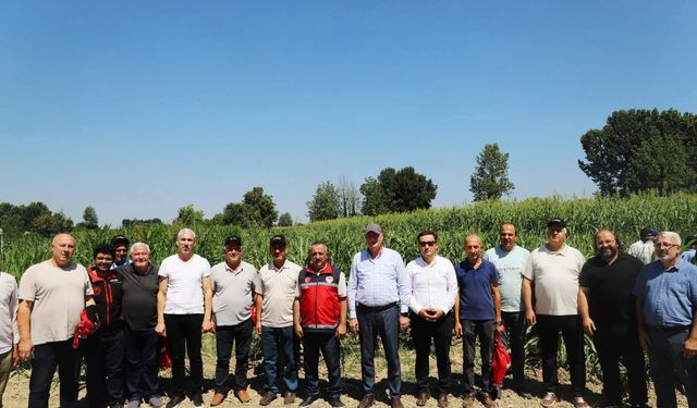 Sorgum sudan otunun tanıtımı yapıldı