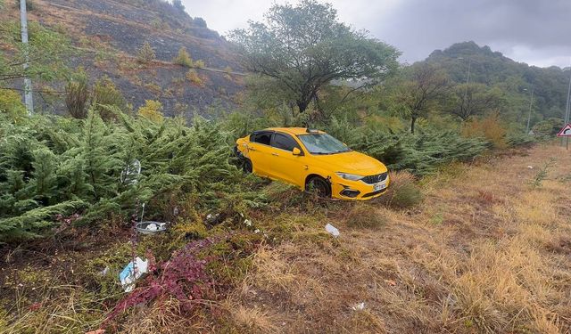 Ticari taksi aydınlatma direğine çarptı