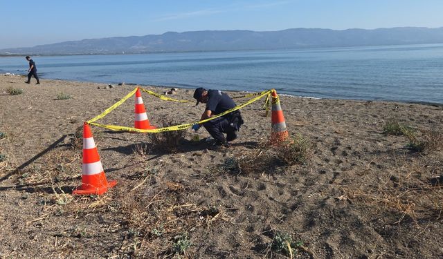 Göl kıyısında el bombası bulundu
