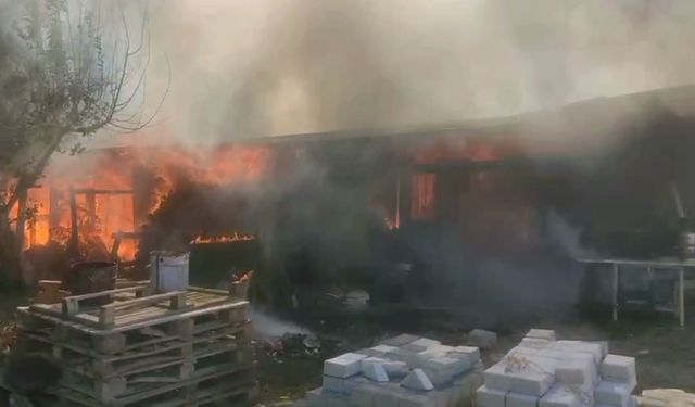 Bağ evi aslev alev yandı