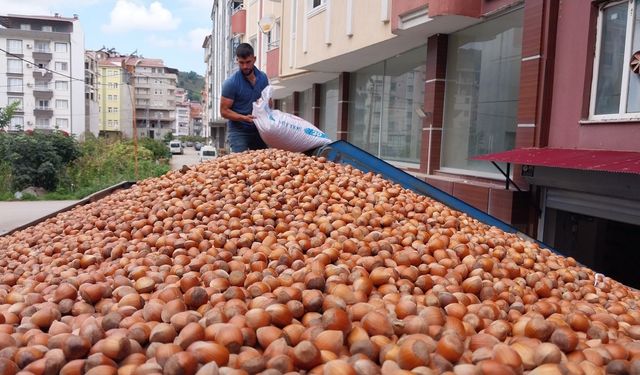 Fındık ihracatında son durum