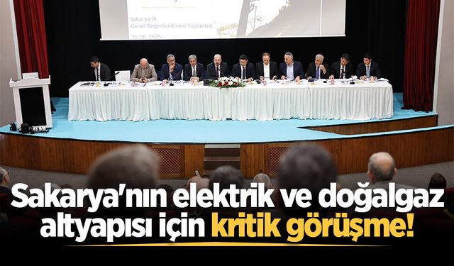 Sakarya'nın elektrik ve doğalgaz altyapısı için kritik görüşme!