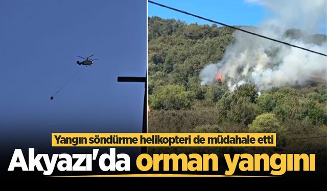 Akyazı'da orman yangını: Yangın söndürme helikopteri de müdahale etti