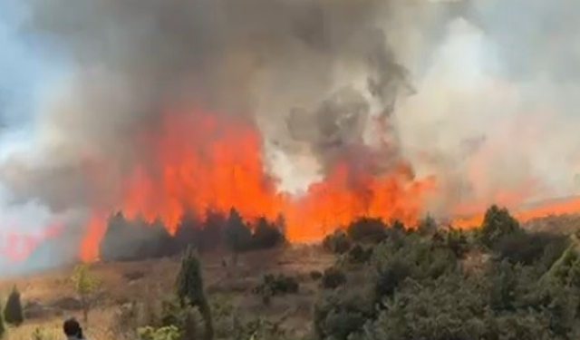 Salça yaparken 30 dönüm makilik alanı kül oldu