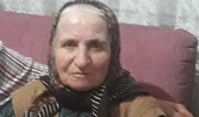 Yaşlı kazada hayatını kaybetti