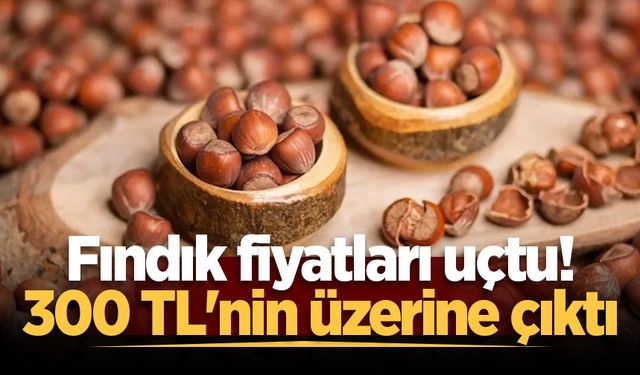 Fındık fiyatları uçtu! 300 TL'nin üzerine çıktı