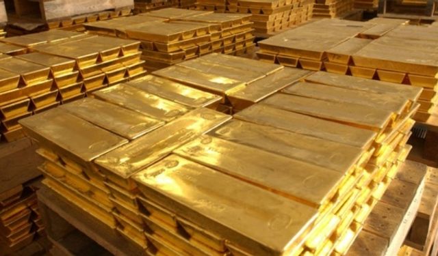 Merkez bankasının rezervleri rekor kırdı