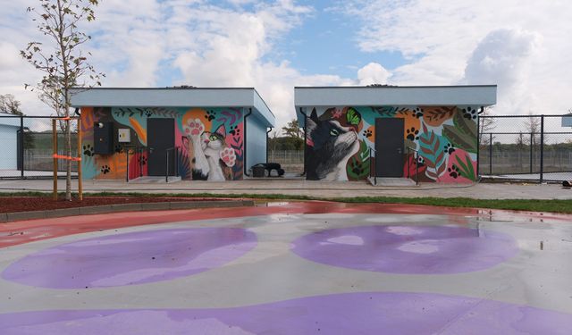 Doğal Yaşam Kampüsü’ne anlam katan grafiti sanatı
