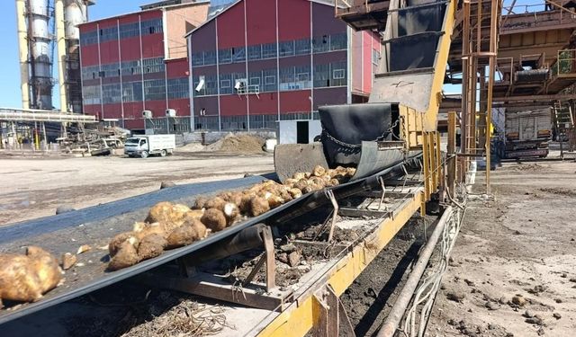 Şekerde "metal kalıntısı" şikayetleri Bakanlığı harekete geçirdi