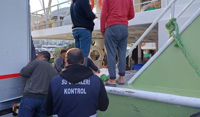 11 kasa balığa el konuldu