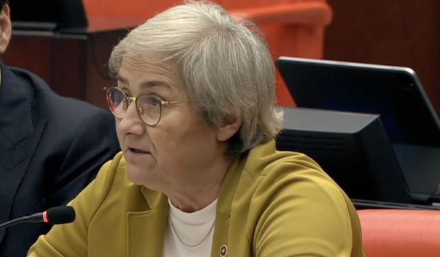 CHP'li Taşkent: "Veteriner hekimler yıllık harç uygulamasından muaf tutulmalı"