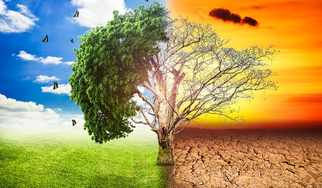 Veteriner Hekim Mustafa Yıldız: “İklim değişikliğini azaltmak elimizde”