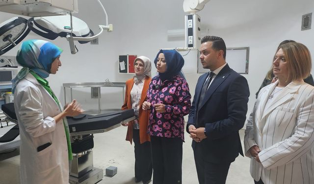 Sapanca İlçe Devlet Hastanesinde ameliyathane hizmete açılıyor