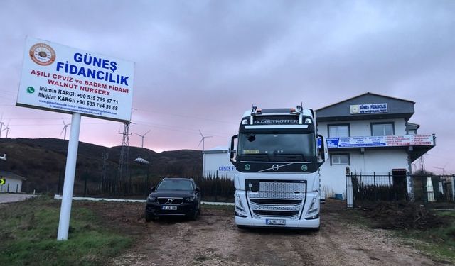 Ceviz Fidanı Alırken Kalite ve Güvenin Adresi Fidansec.com