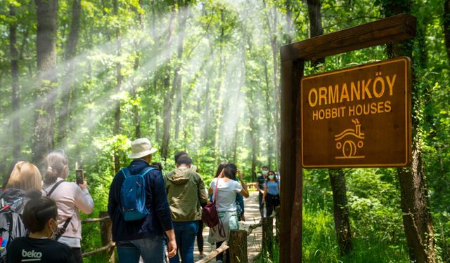 Ormanya ve Kuzuyayla'ya ziyaretçi akını
