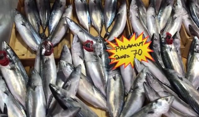 Buzhane balığına dikkat