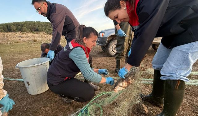 5 kilometrelik hayalet ağ toplandı