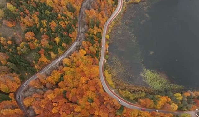 Abant’a ziyaretçi akını