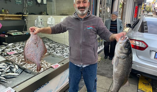 7,5 kilo ağırlığında levrek yakalandı