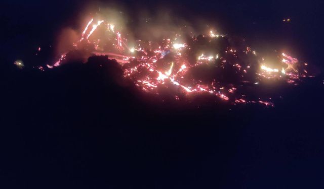 Çürümüş ağaç ve kökler yakılırken alevler kontrolden çıktı