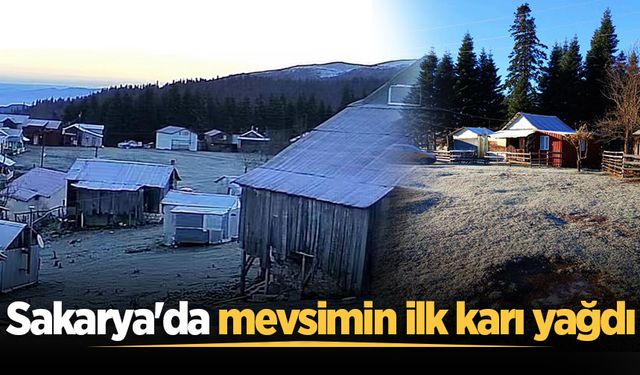 Sakarya'da mevsimin ilk karı yağdı