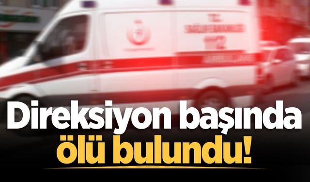 Direksiyon başında ölü bulundu!
