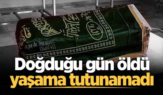 Arifiye'de acı ölüm: Doğduğu gün hayatını kaybetti