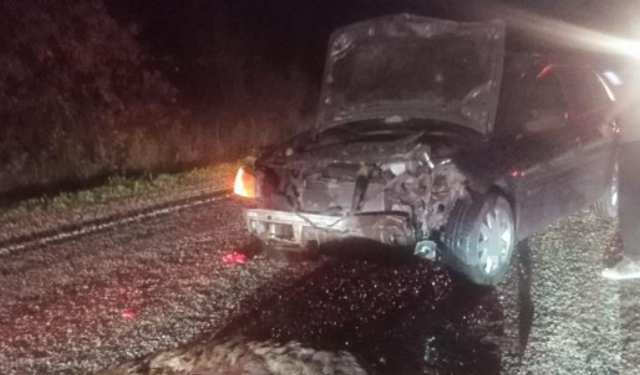 Domuza çarpan otomobil hurdaya döndü: 1 yaralı