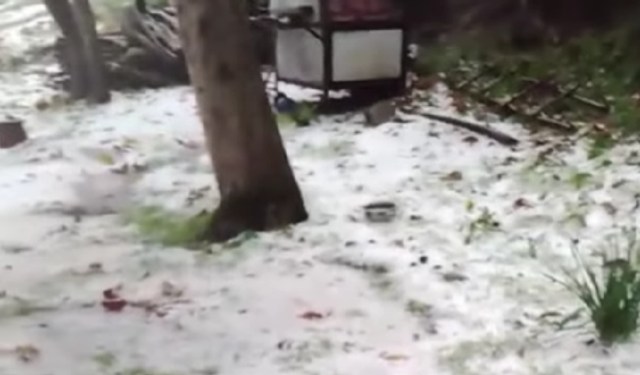 Kaynarca beyaza büründü!