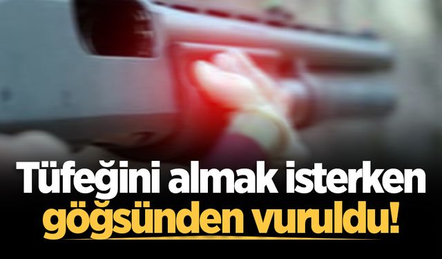 Tüfeğini almak isterken göğsünden vuruldu!