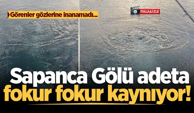 Sapanca Gölü adeta fokur fokur kaynıyor! Görenler gözlerine inanamadı...