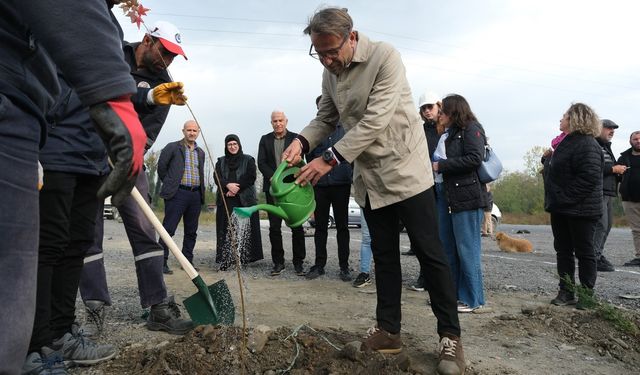 Sapanca’da Milli Ağaçlandırma gününde 500 fidan toprakla buluştu