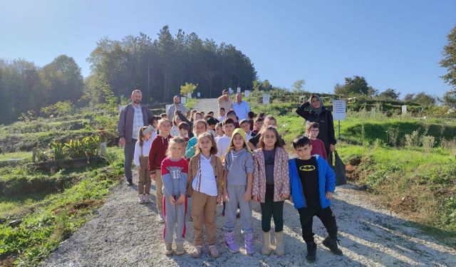 Bir fidanda bizden olsun dediler